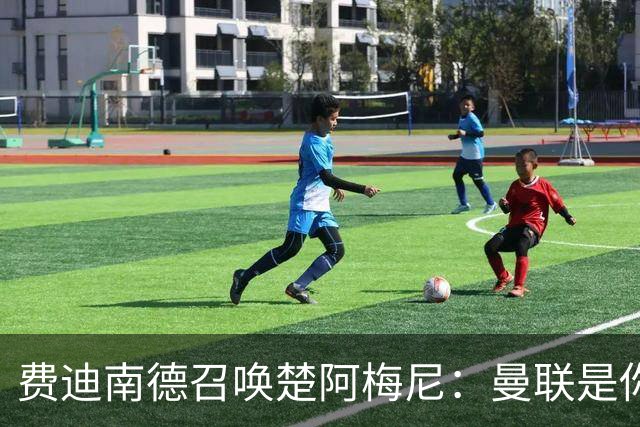 费迪南德召唤楚阿梅尼：曼联是你的唯一归宿，想成事的话就来吧！